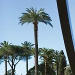 Le Gilly 6 - F3 Exceptionnel, Vue Mer, Moderne, Climatisation, Vieux-nice